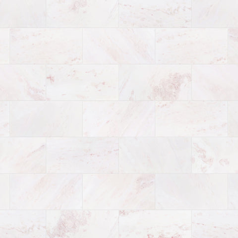 12" x 24" ROSA ROSA POLISHED
