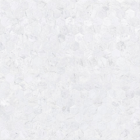 2.5" HEXAGON LAGUNA DOLOMITE HONED