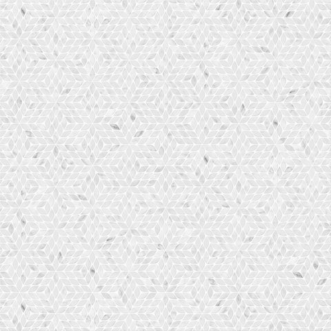 EDEN BIANCO CARRARA POLISHED