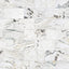 12" x 24" CALACATTA MONET HONED