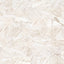 12" x 24" CALACATTA VAGLI HONED