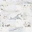18" x 36" CALACATTA MONET BRUSHED