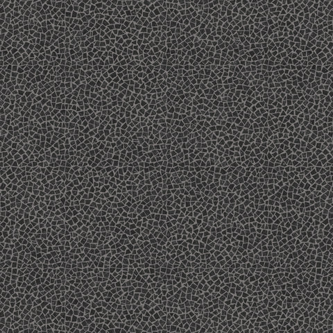 ORIGIN BELGIAN BLUESTONE BRUSHED